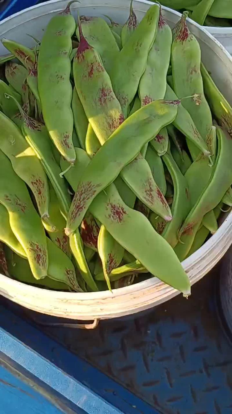 一点红油豆