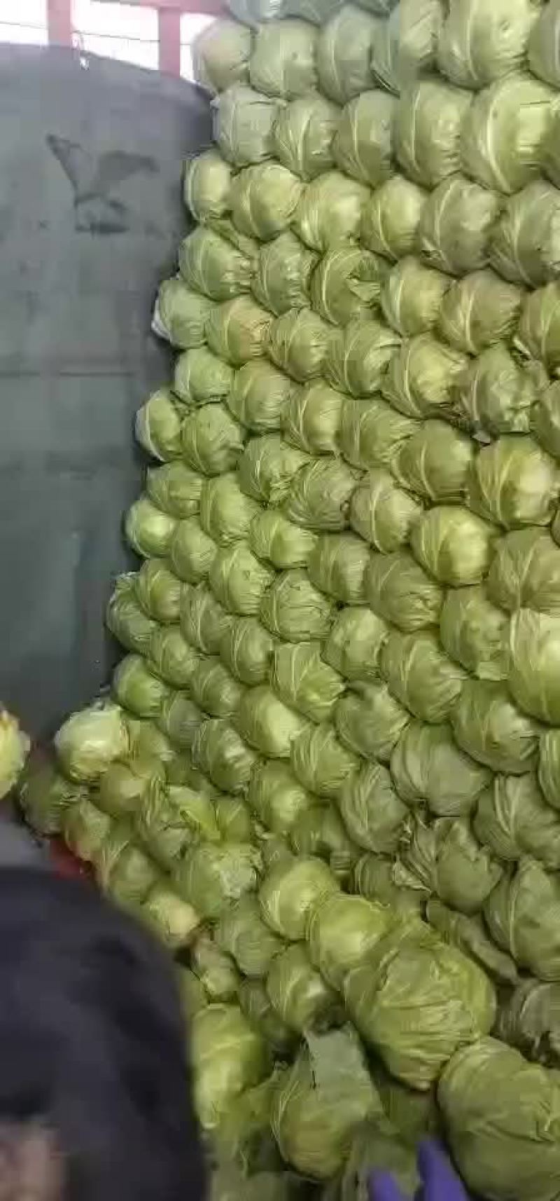 四季有货质量保障，各种包装，冷库，工人齐全，交通运输方便