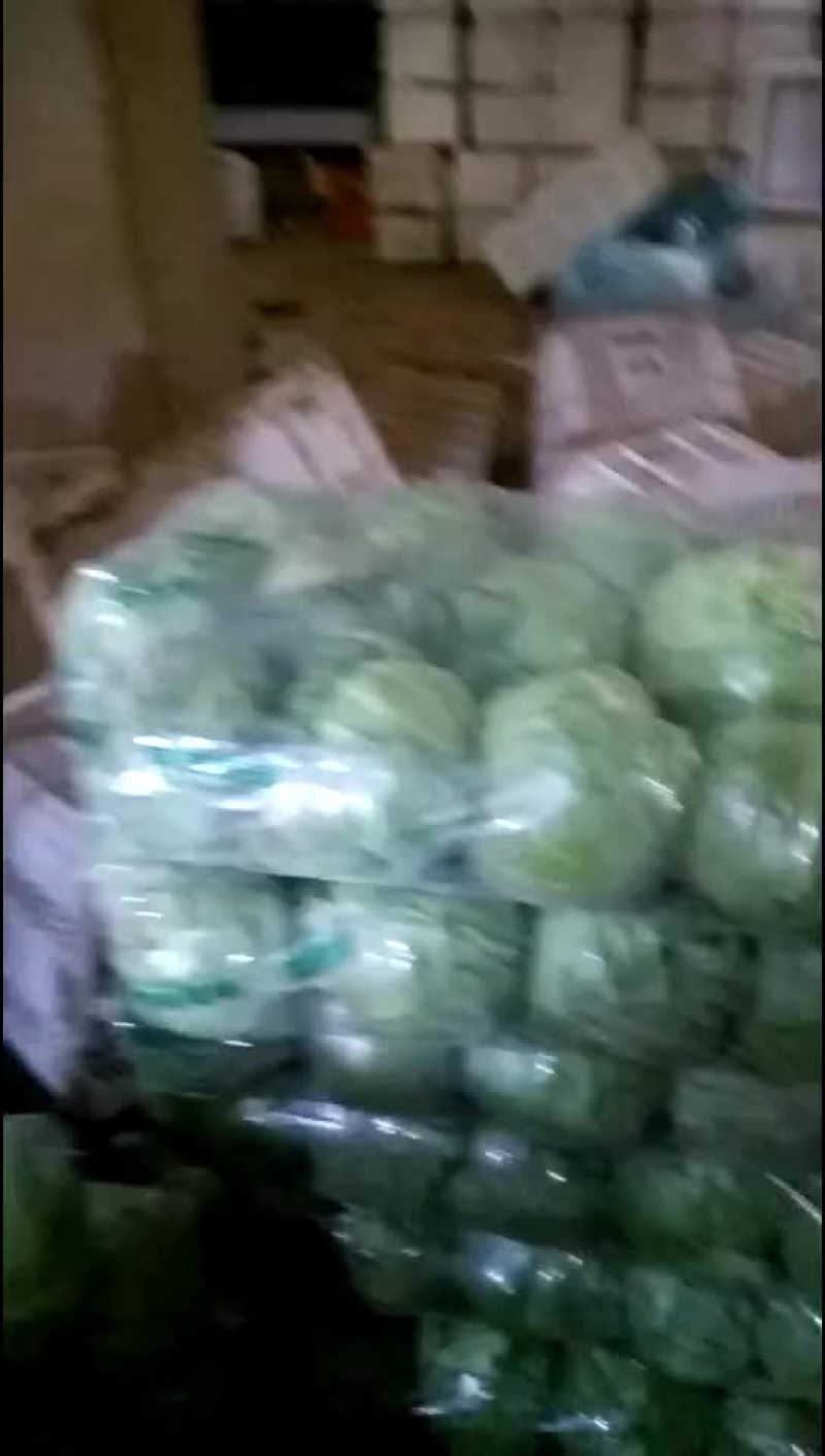 四季有货质量保障，各种包装，冷库，工人齐全，交通运输方便
