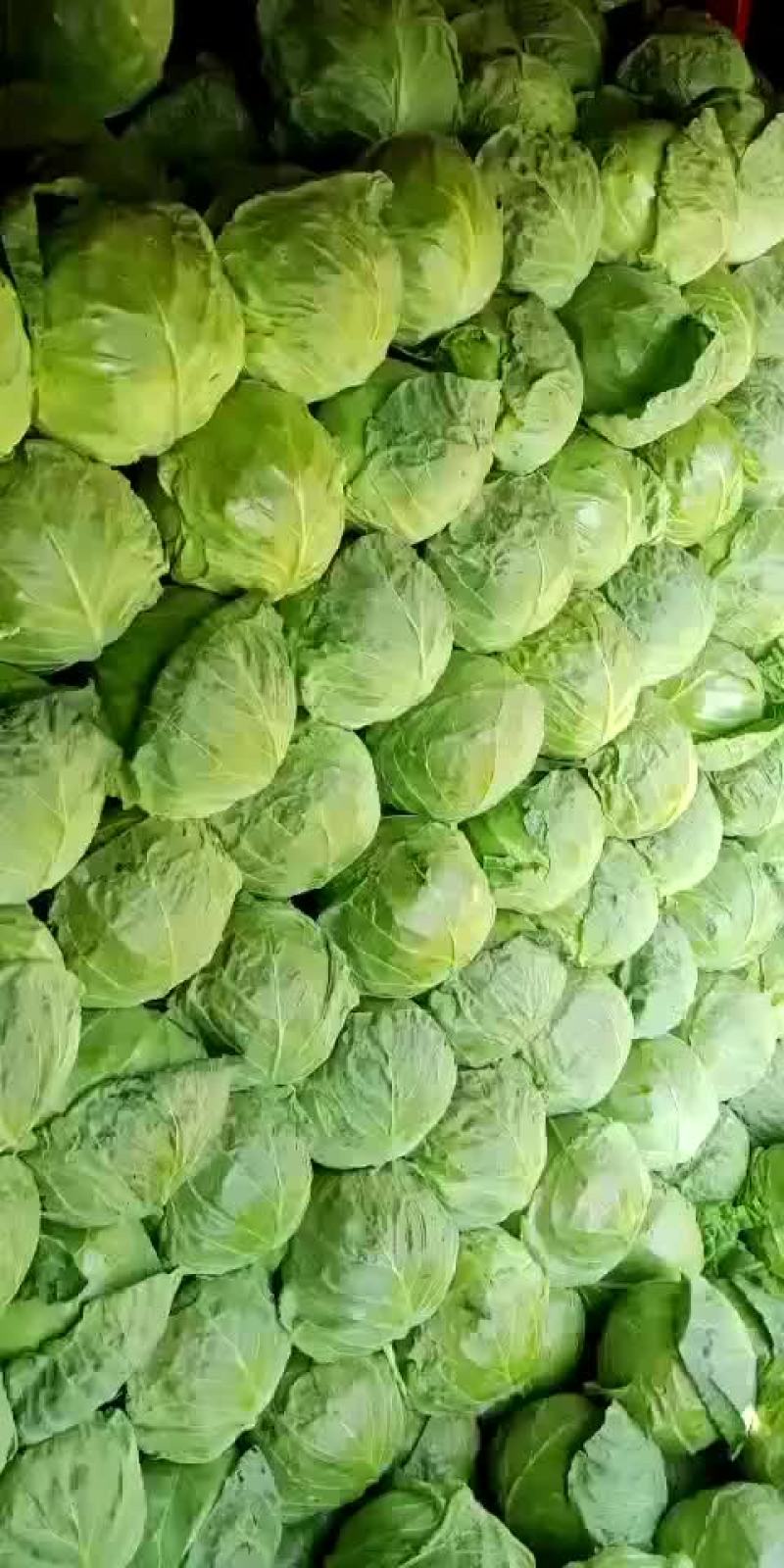 四季有货质量保障，各种包装，冷库，工人齐全，交通运输方便