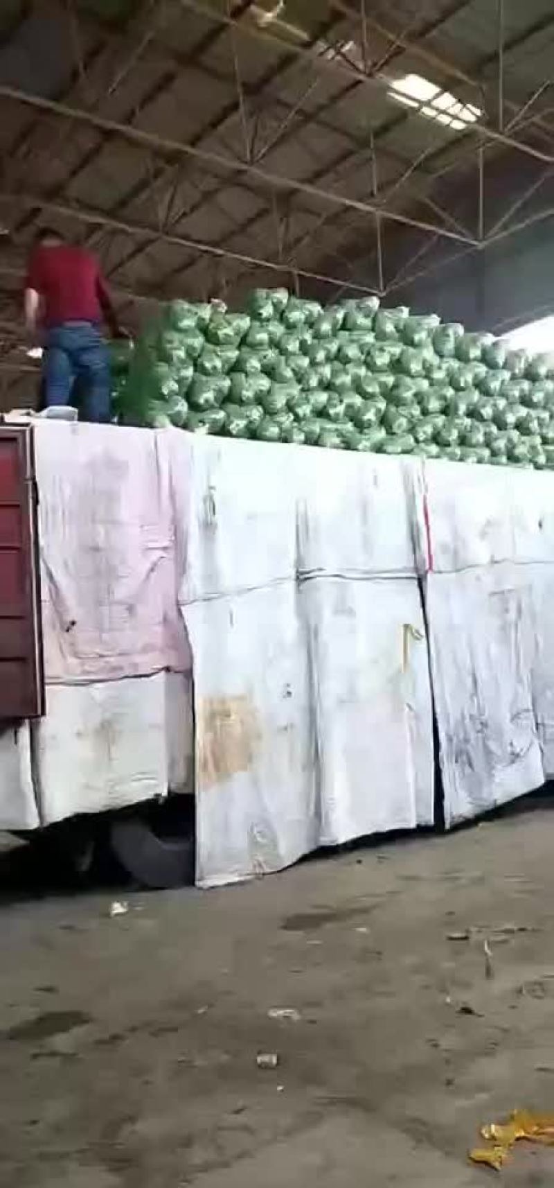 四季有货质量保障，各种包装，冷库，工人齐全，交通运输方便