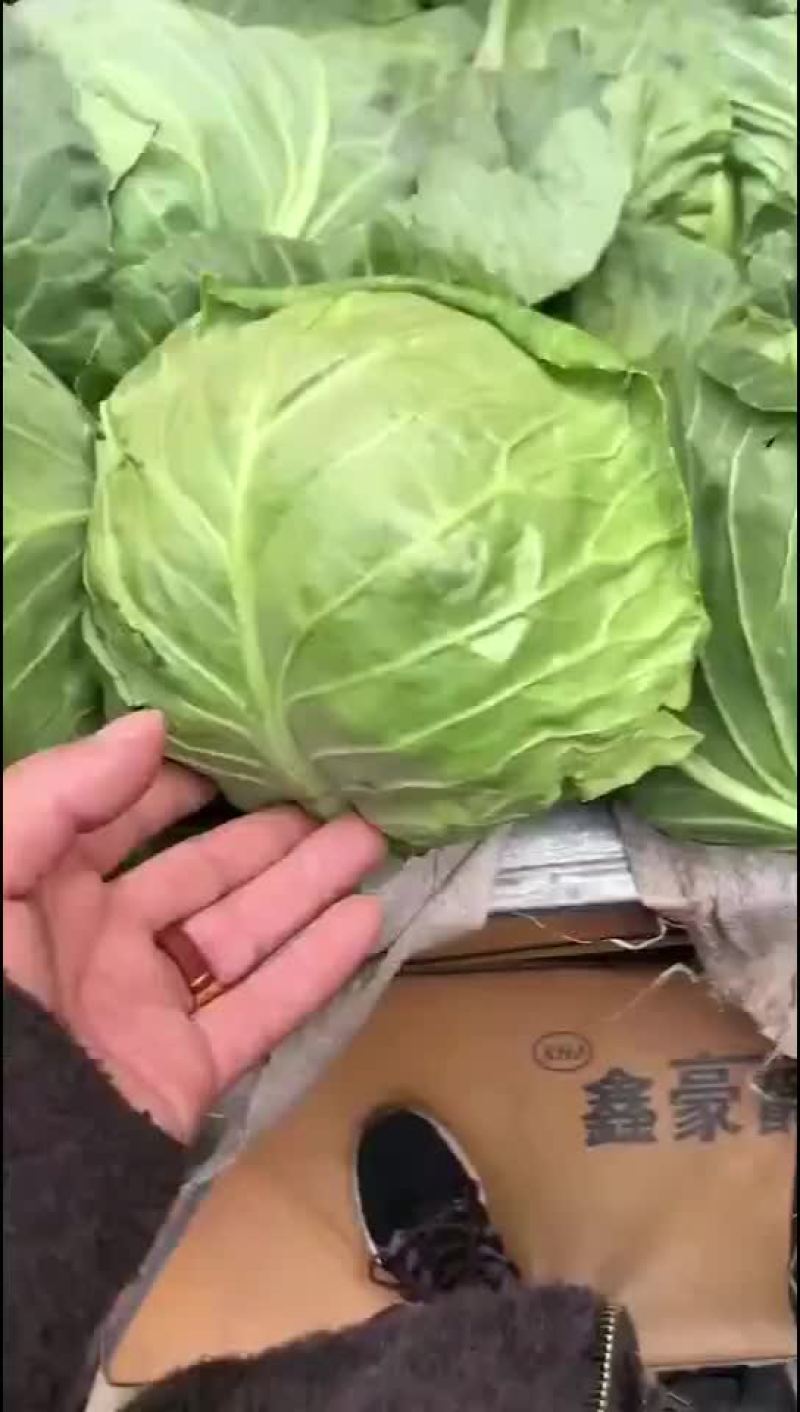 四季有货质量保障，各种包装，冷库，工人齐全，交通运输方便