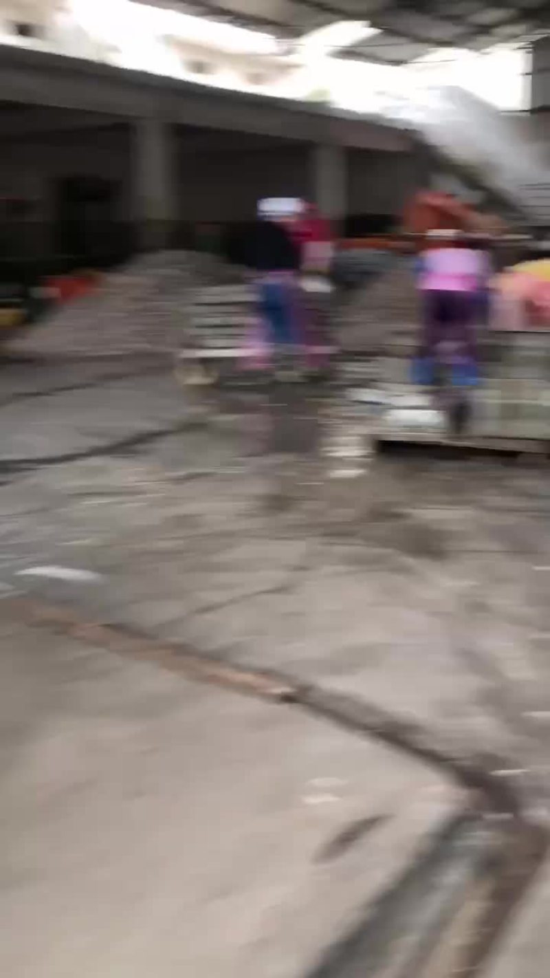 饲料鱼小鱼
