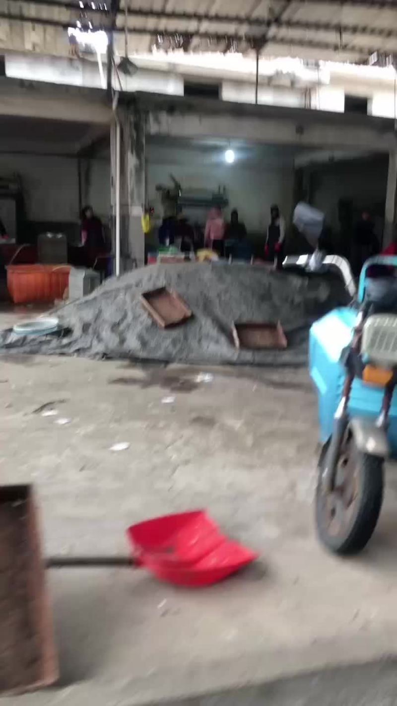 饲料鱼小鱼