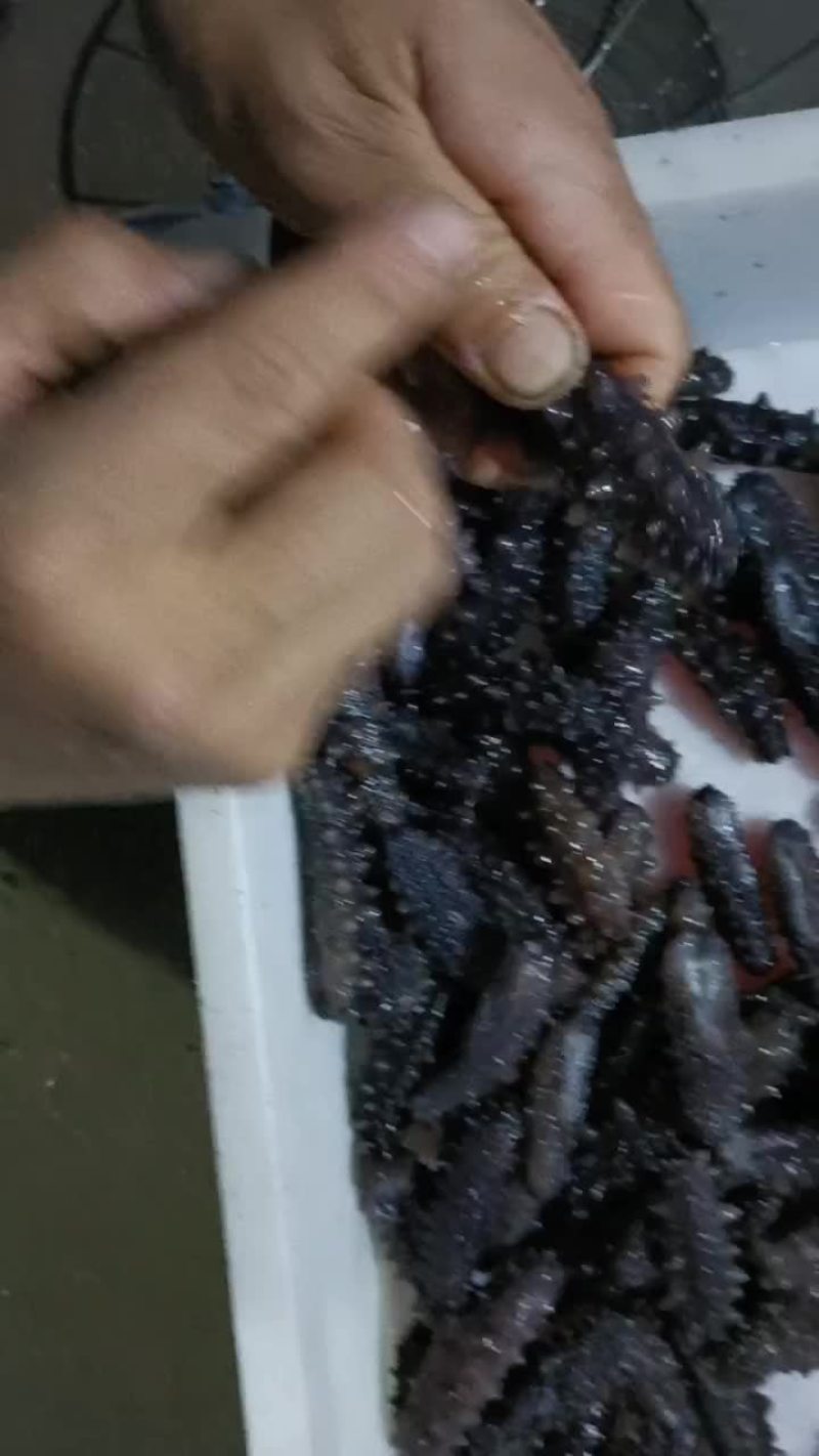 真正的冷蒸鲜食