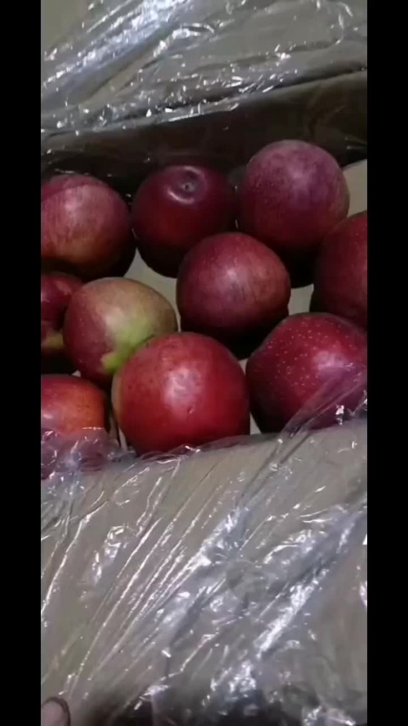 水果出售