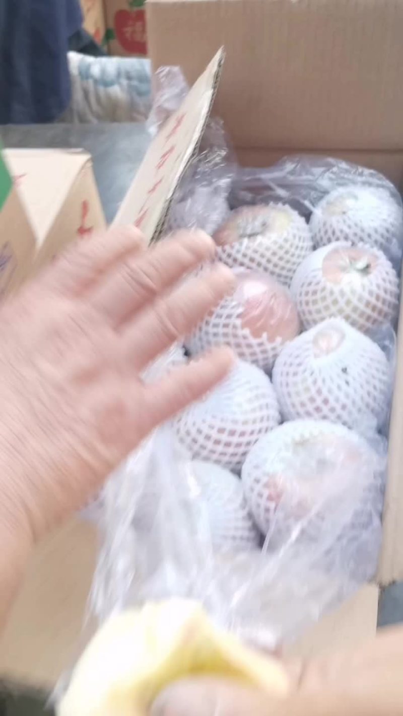 冠县富士