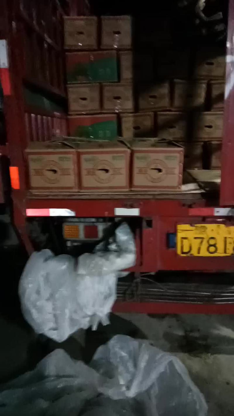 《哈密瓜》25号小蜜