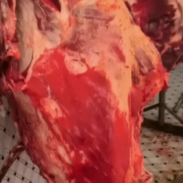 牛肉