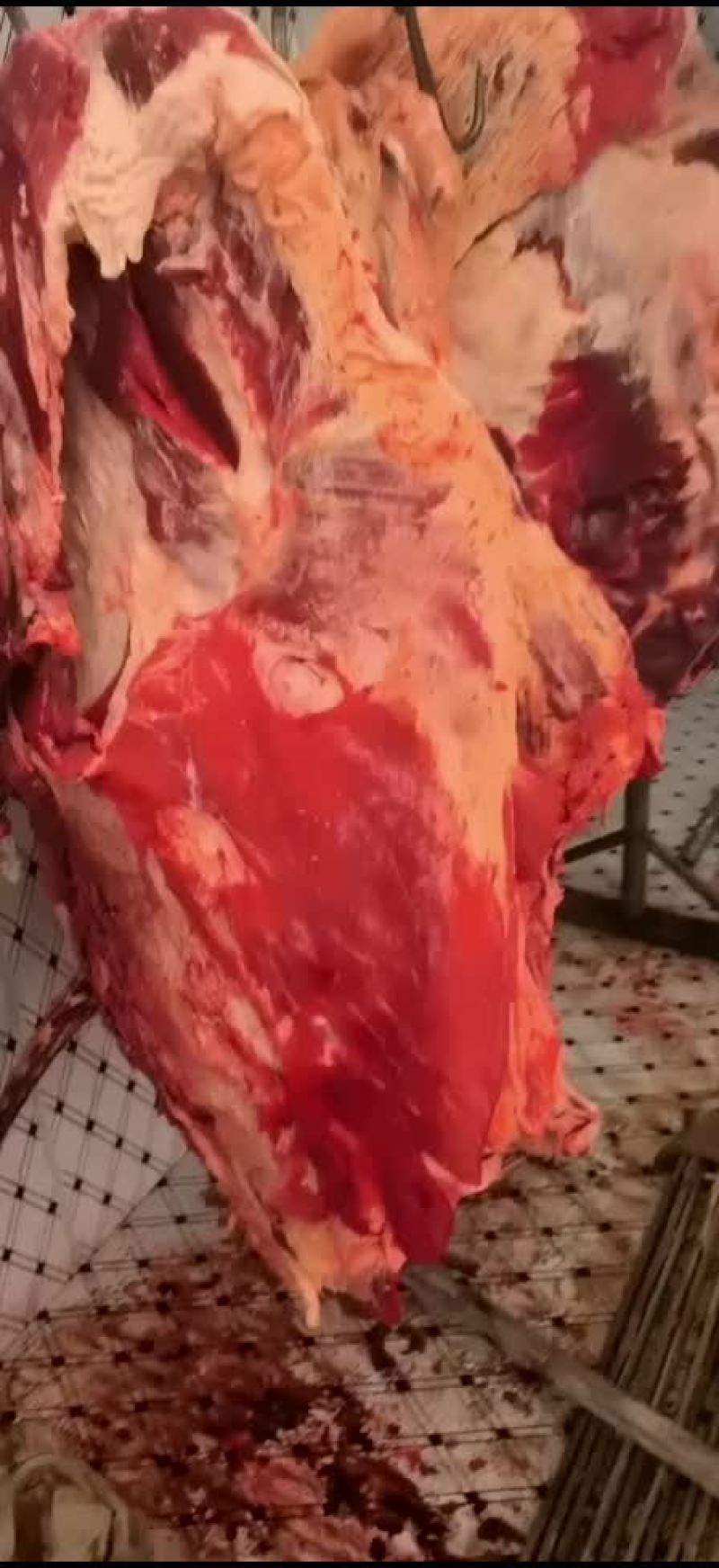 牛肉
