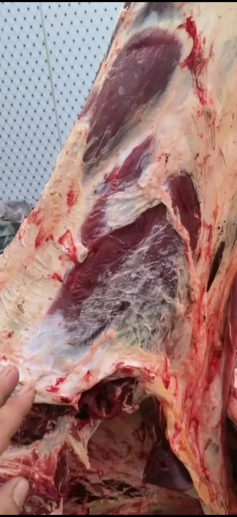 牛肉