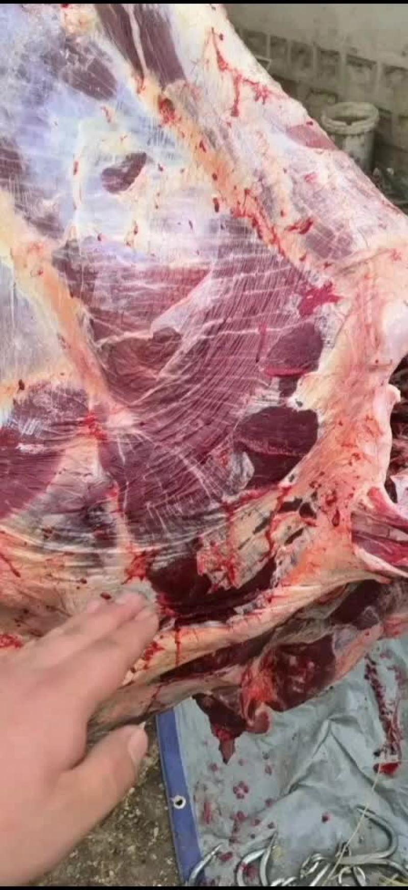 牛肉