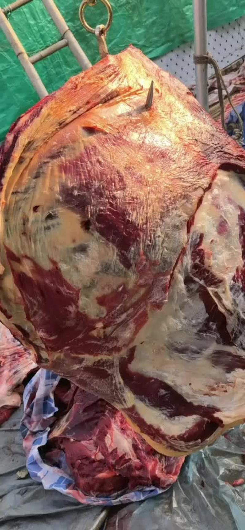 牛肉