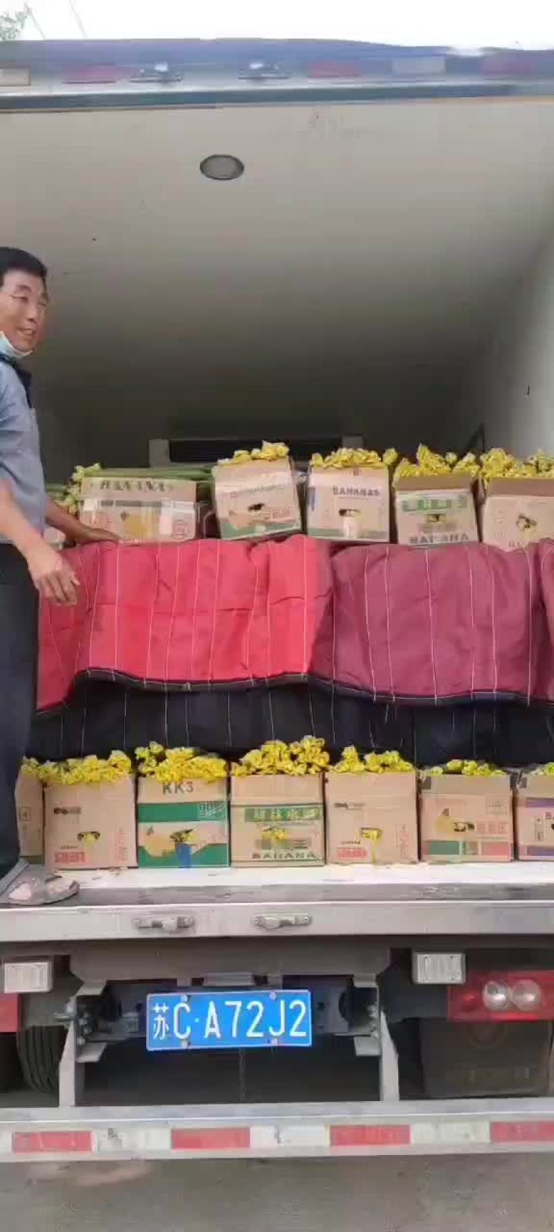 精品鲜花丝瓜大量上市，有需要的老板随时可以联系我。