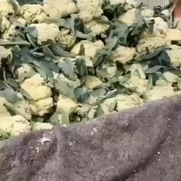 精品
