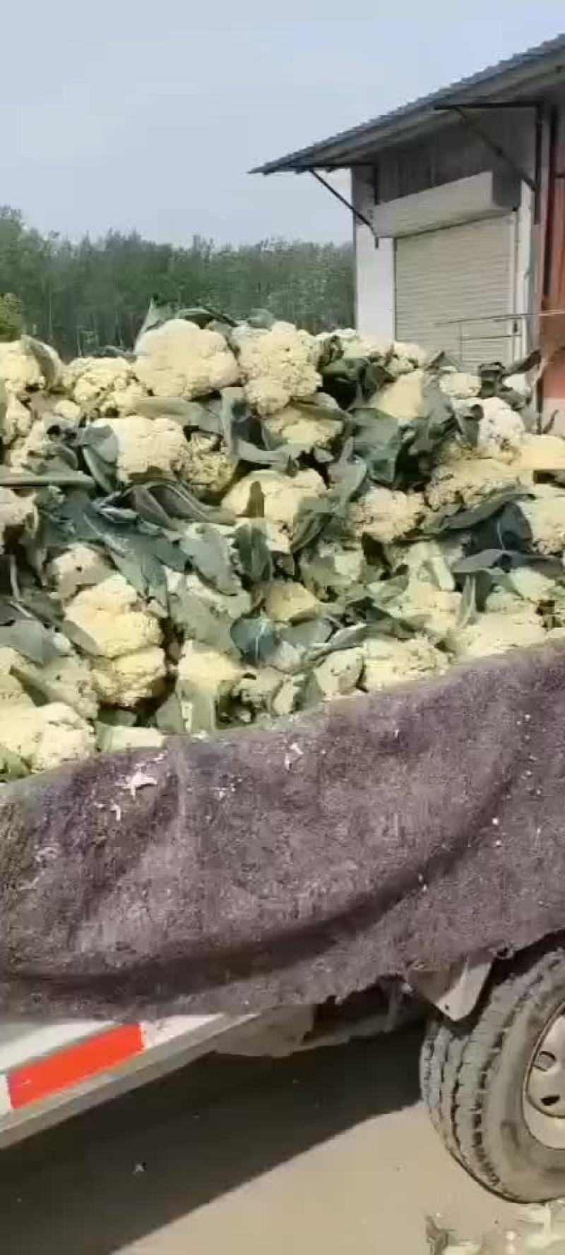 精品