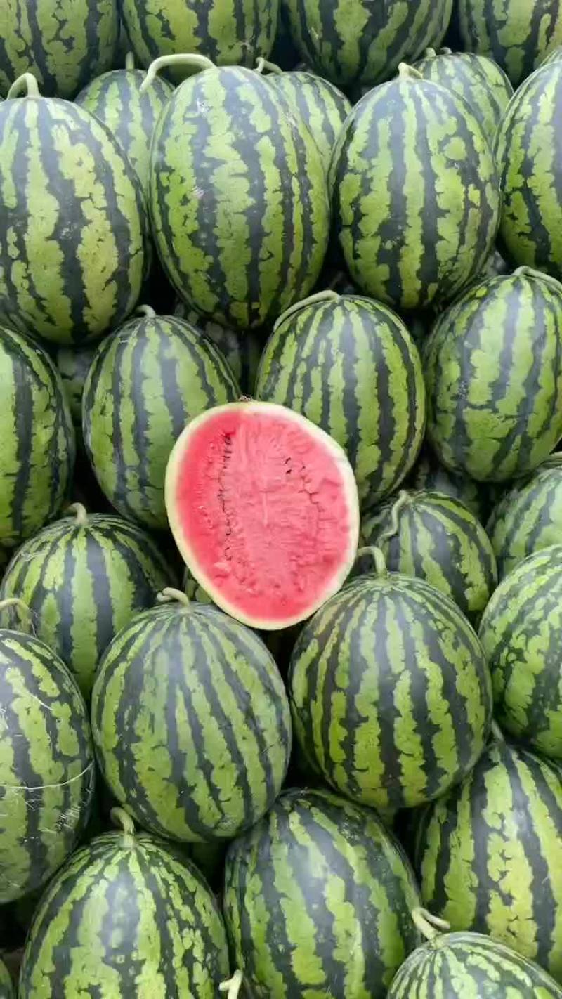 凌海西瓜