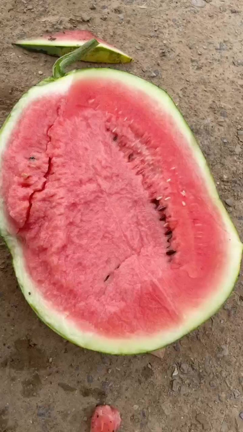凌海西瓜