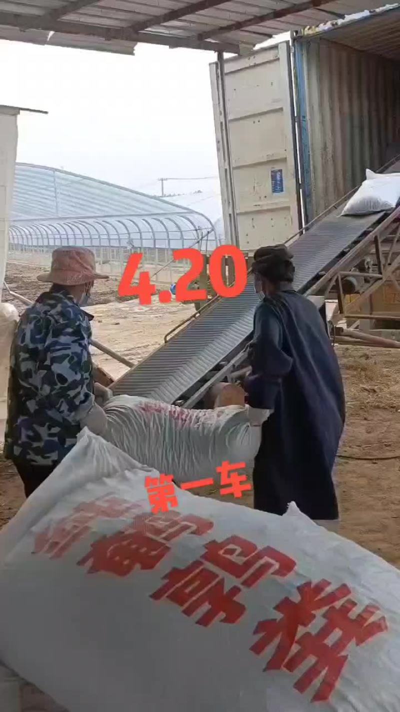 鹌鹑粪