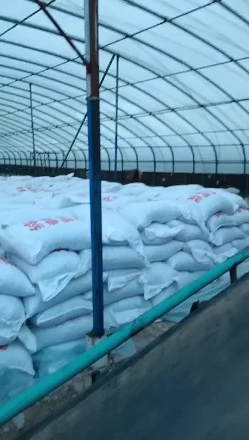 鹌鹑粪