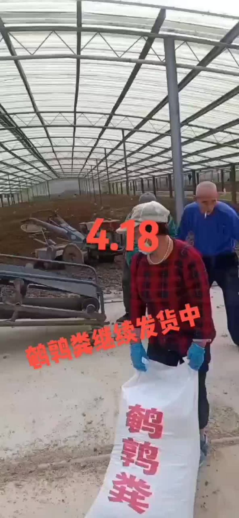 鹌鹑粪