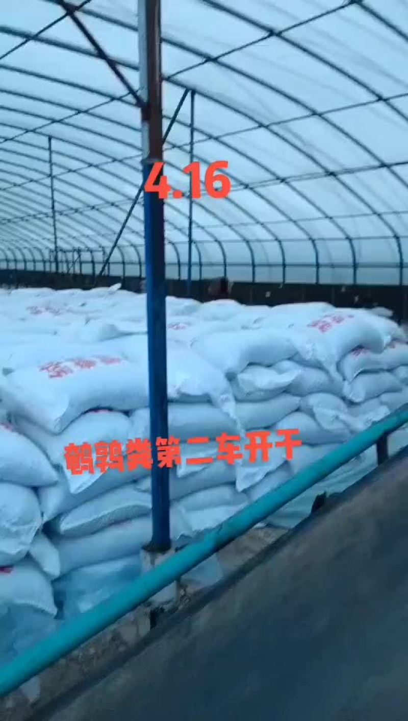 鹌鹑粪