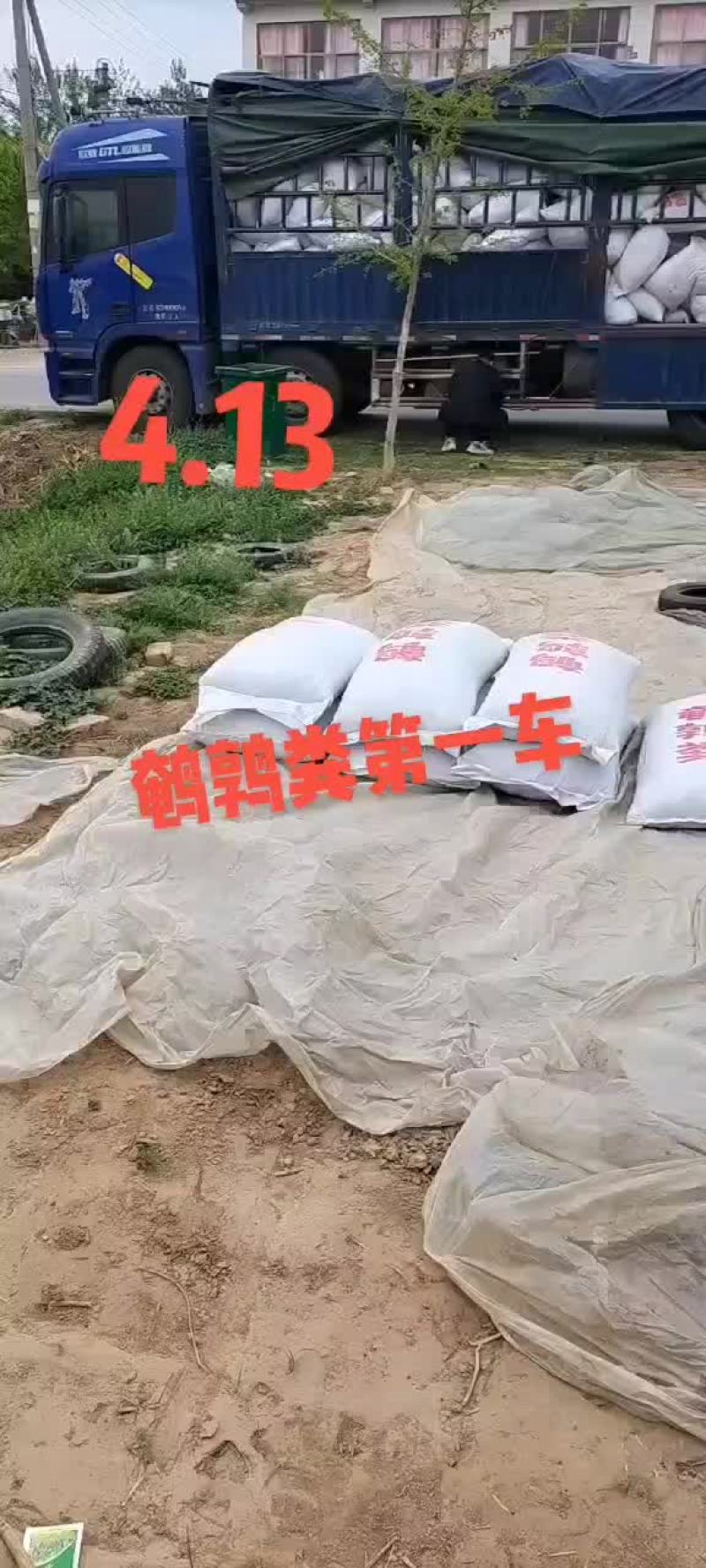 鹌鹑粪