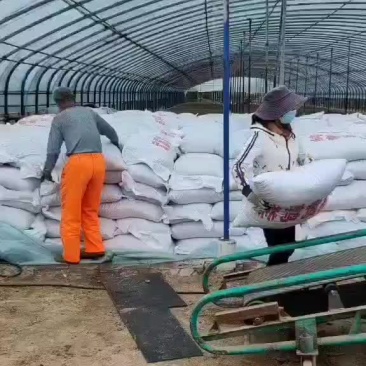 鹌鹑粪