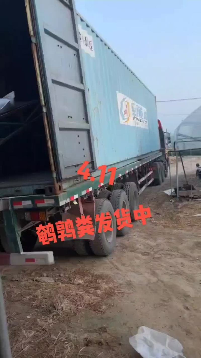 鹌鹑粪