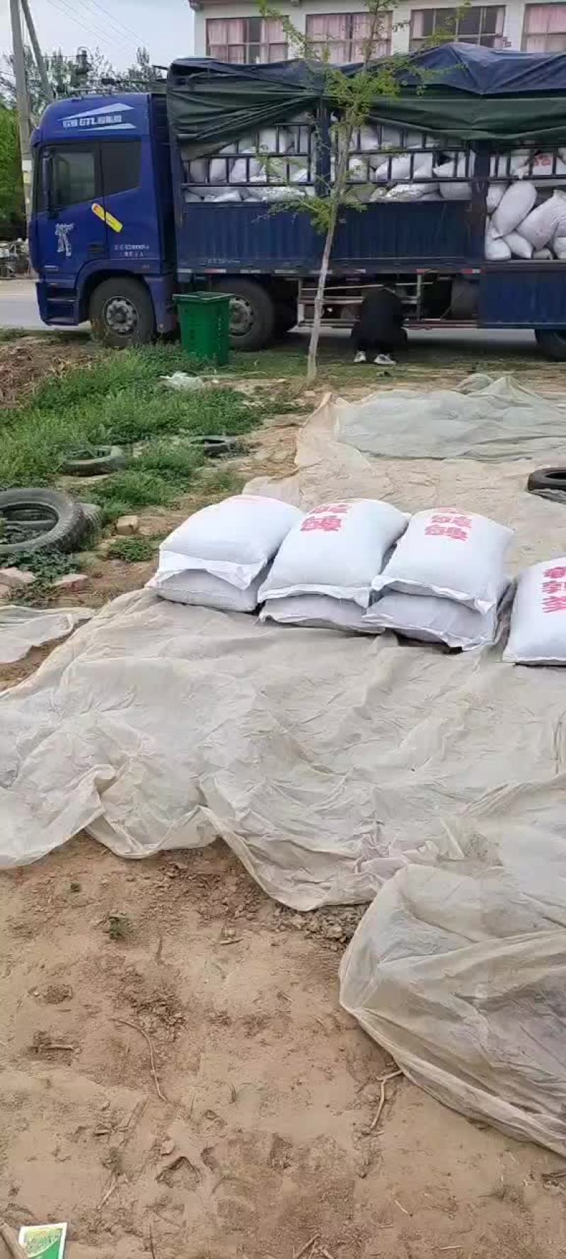 鹌鹑粪