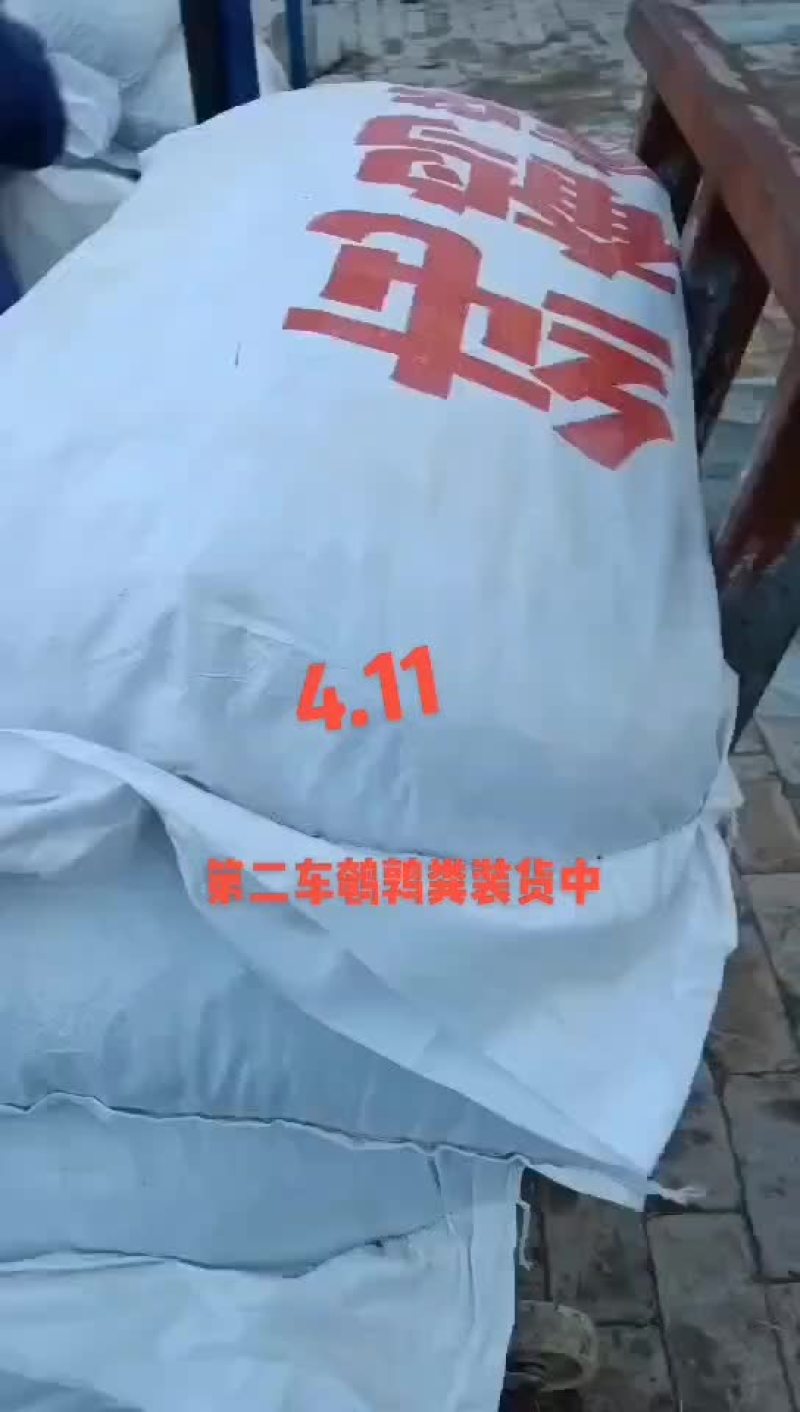 鹌鹑粪
