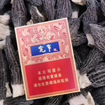 山东羊肚菌