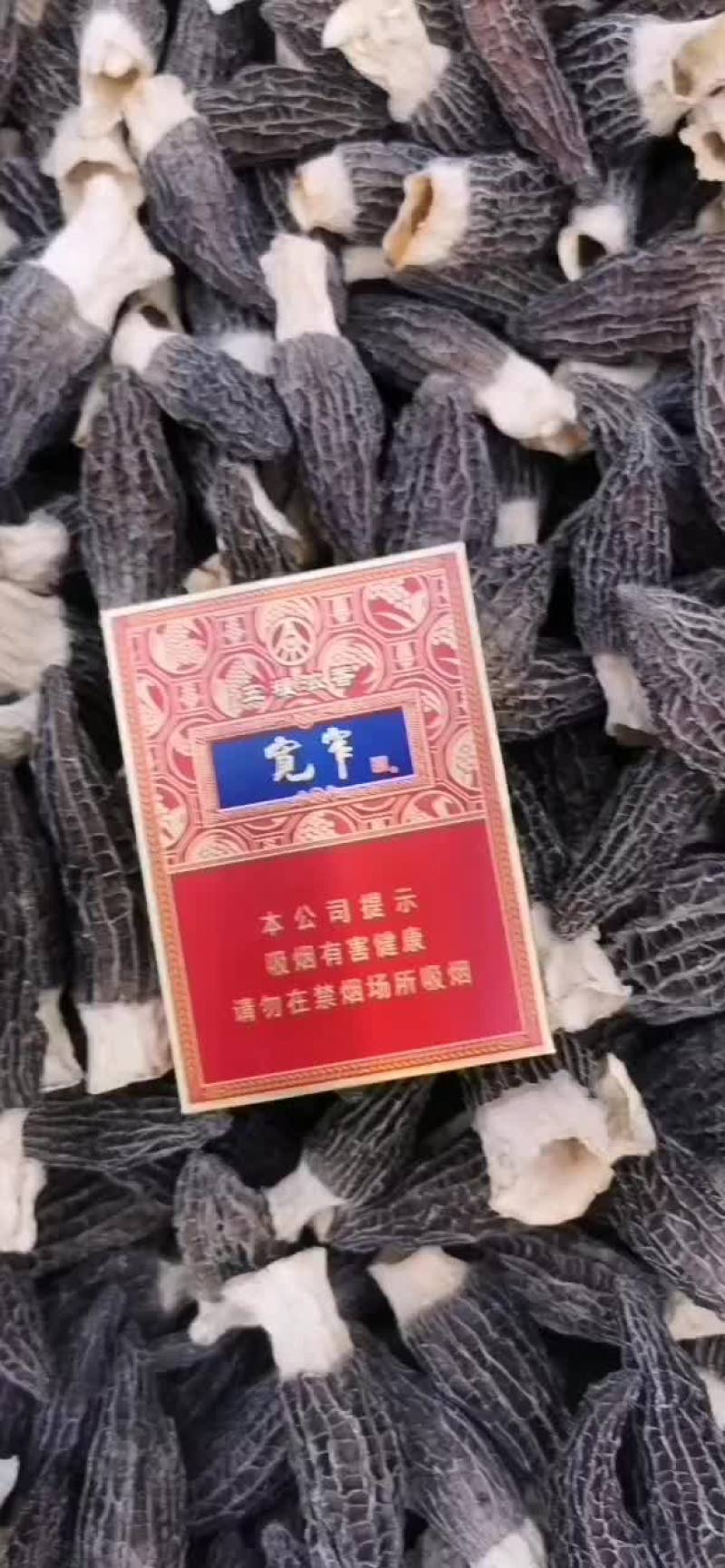 山东羊肚菌