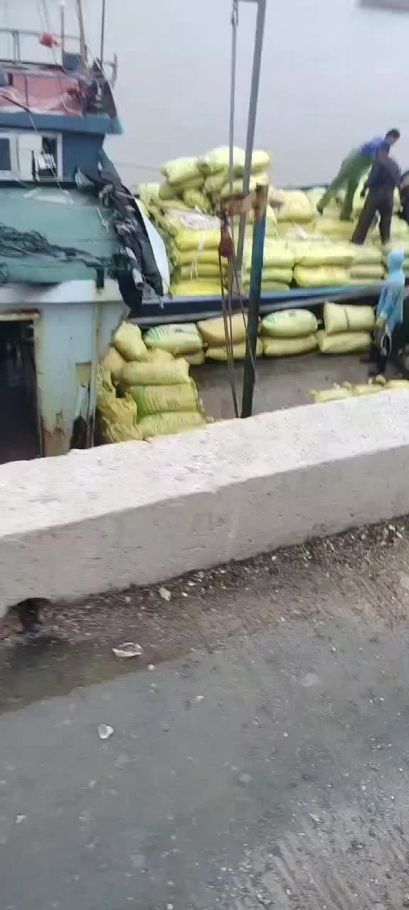 大中小钉螺