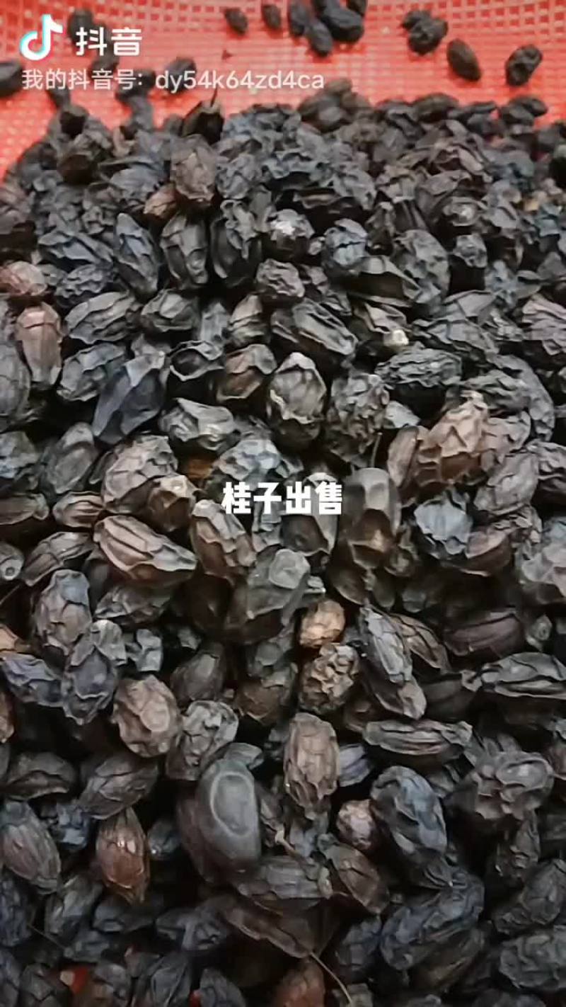 桂子出售