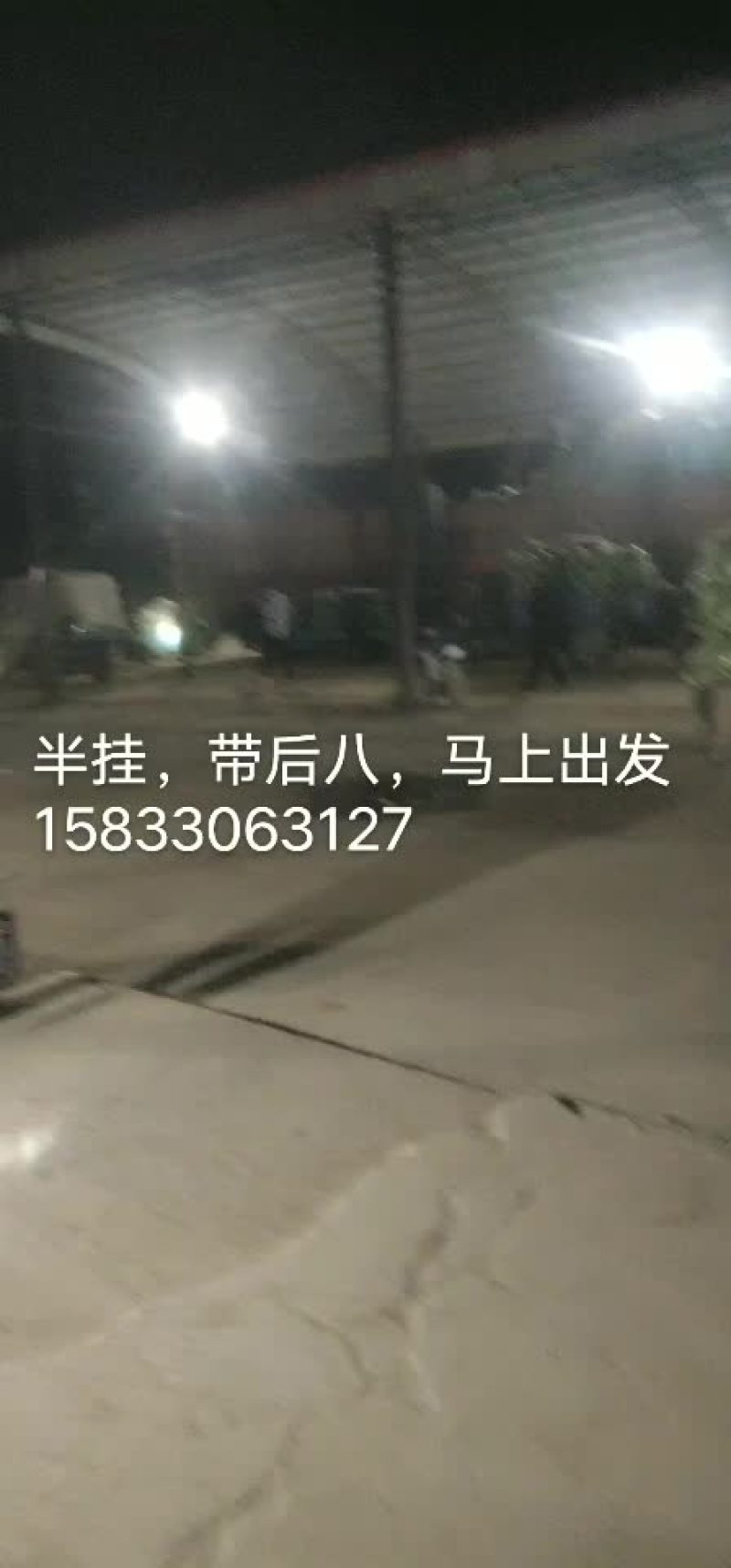甘蓝