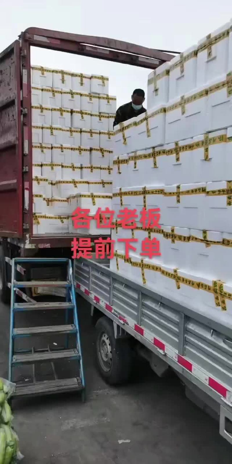 西葫芦