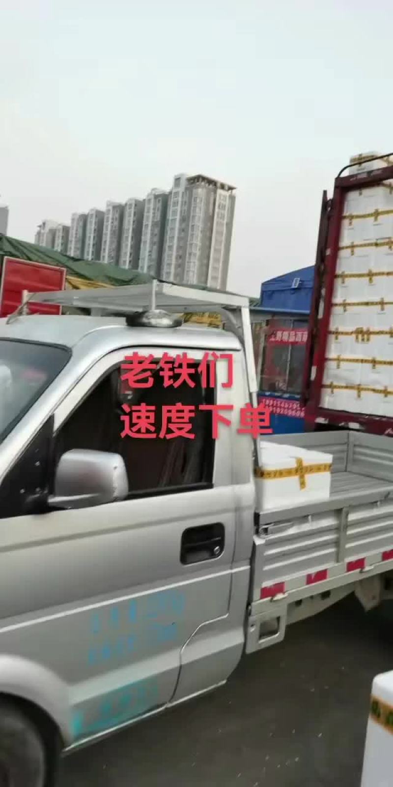 西葫芦