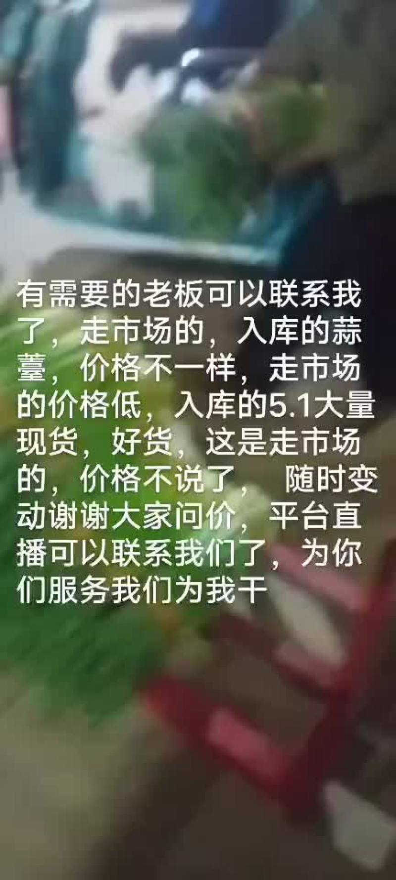 蒜薹蒜薹大量上市了老板们