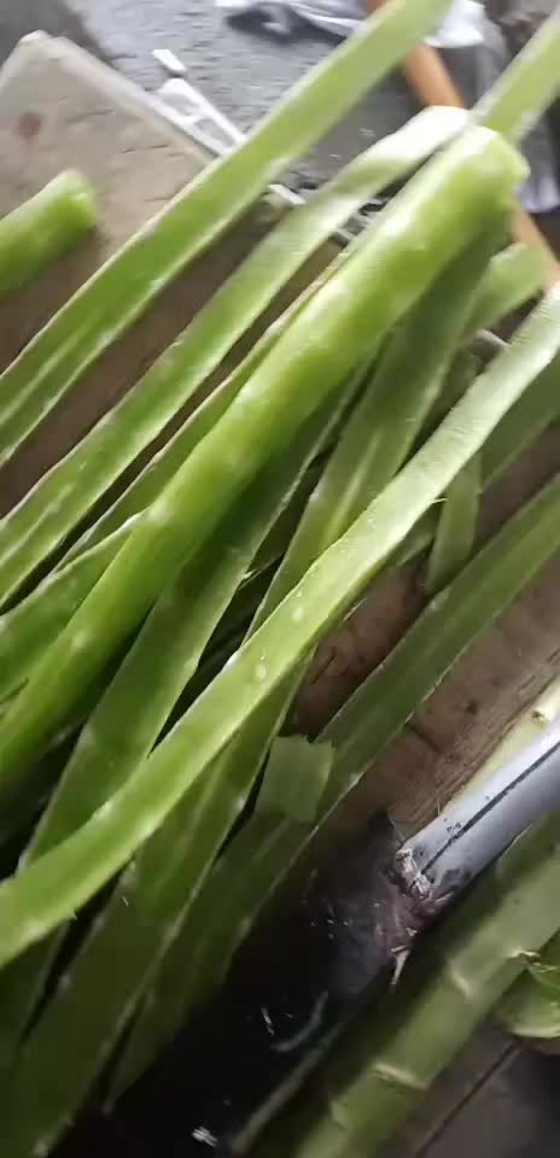莴苣