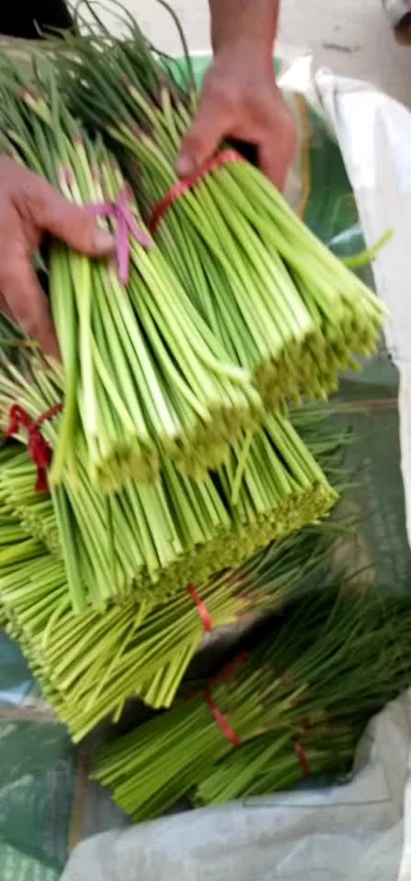 蒜薹蒜薹大量上市了老板们