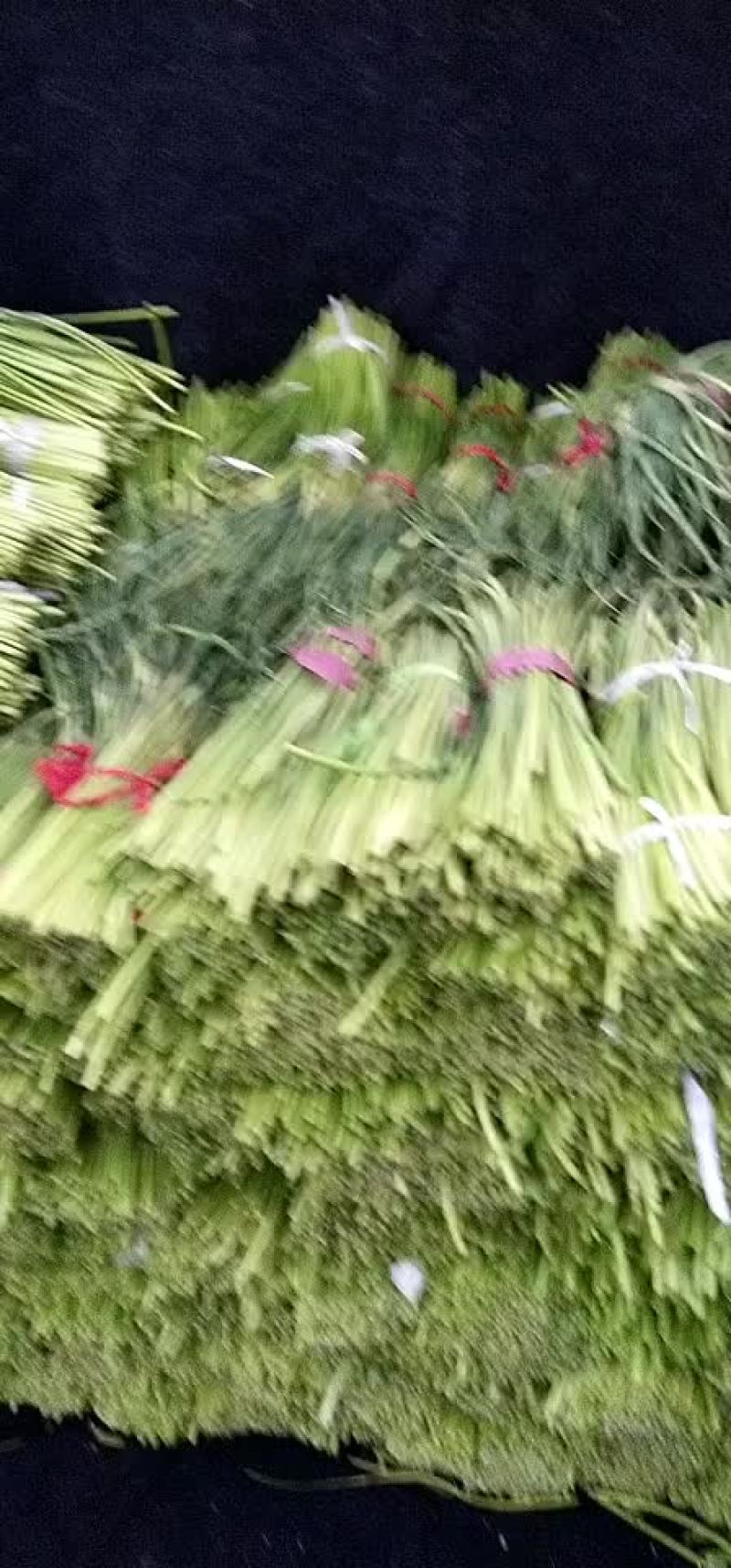 蒜薹蒜薹大量上市了老板们