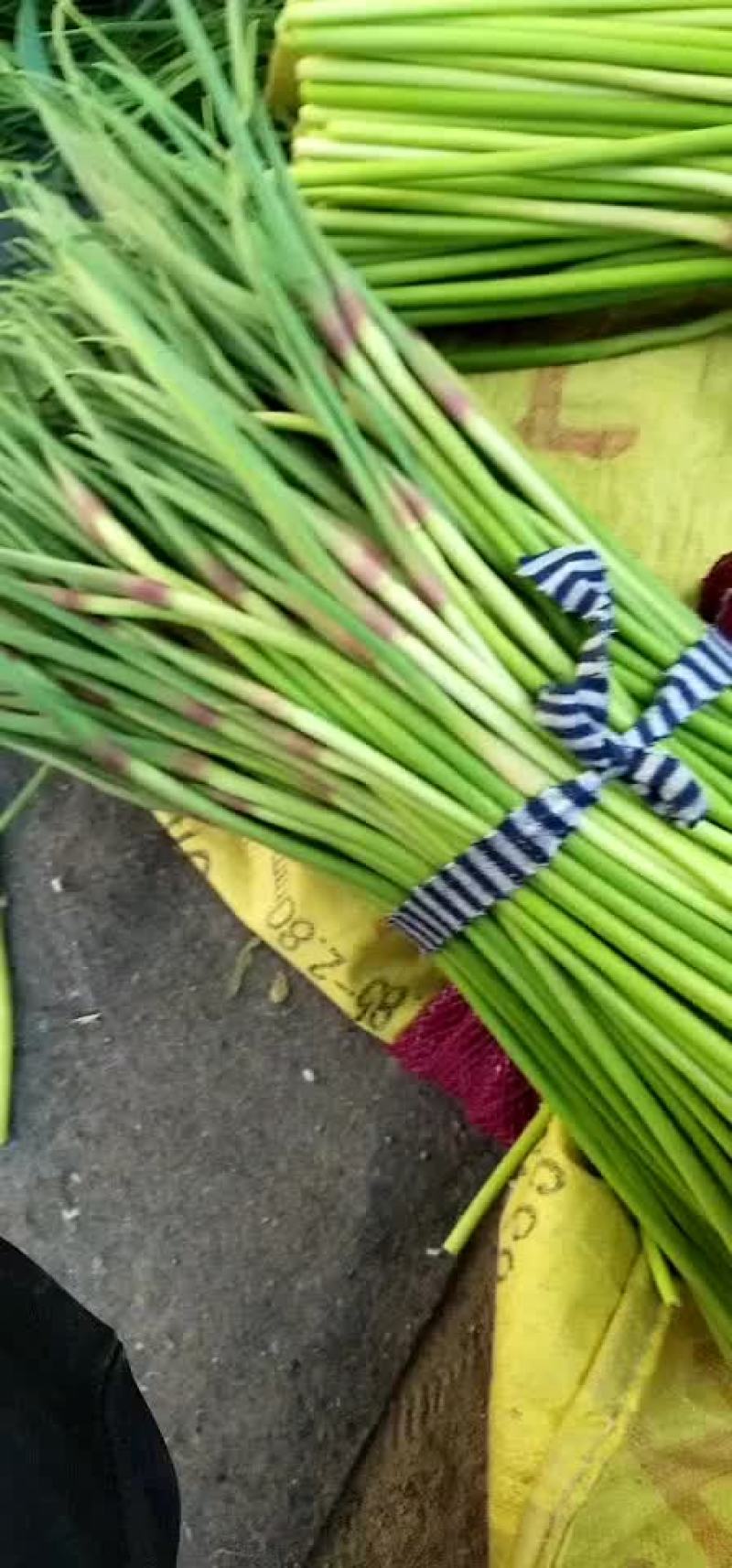 蒜薹蒜薹大量上市了老板们