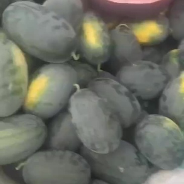 黑美人西瓜
