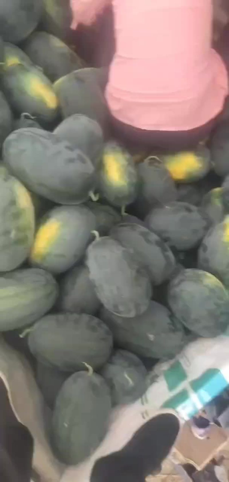 黑美人西瓜
