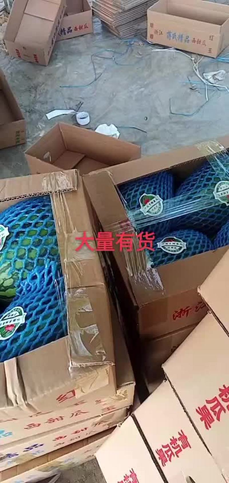 山东潍坊寒亭全美2k西瓜熟了需要的老板可以沟通一下