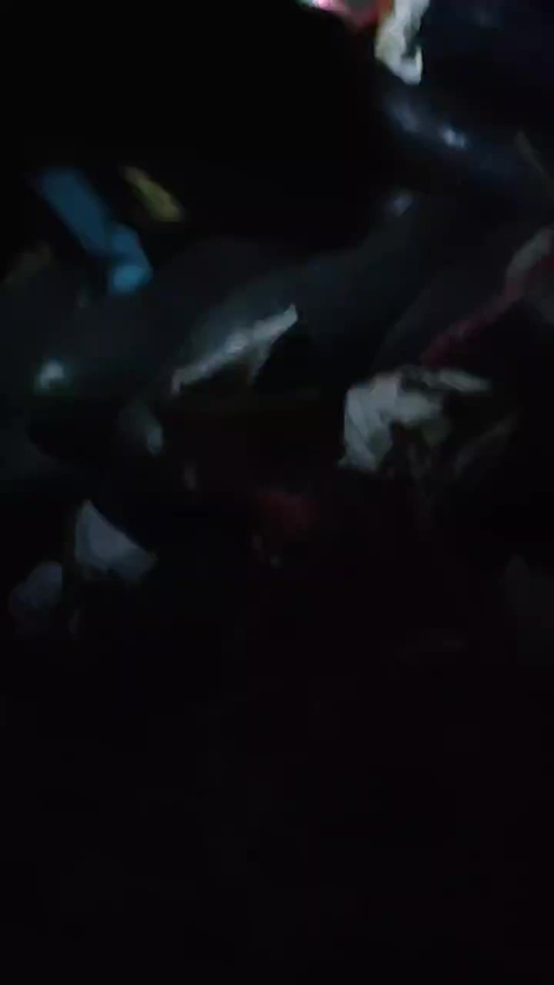海南吊冬瓜
