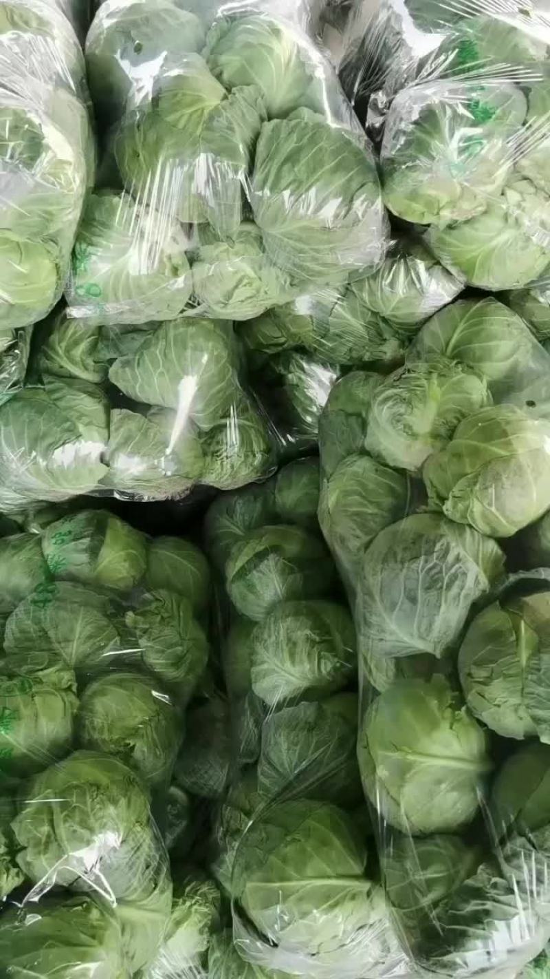 精品甘蓝，一手货源，代收，代发
