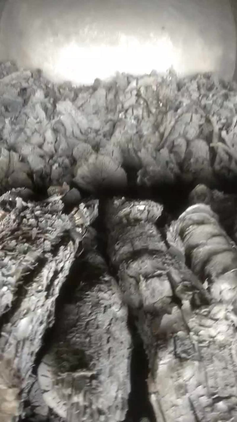 山西优质高温无烟果木炭。枣木炭。