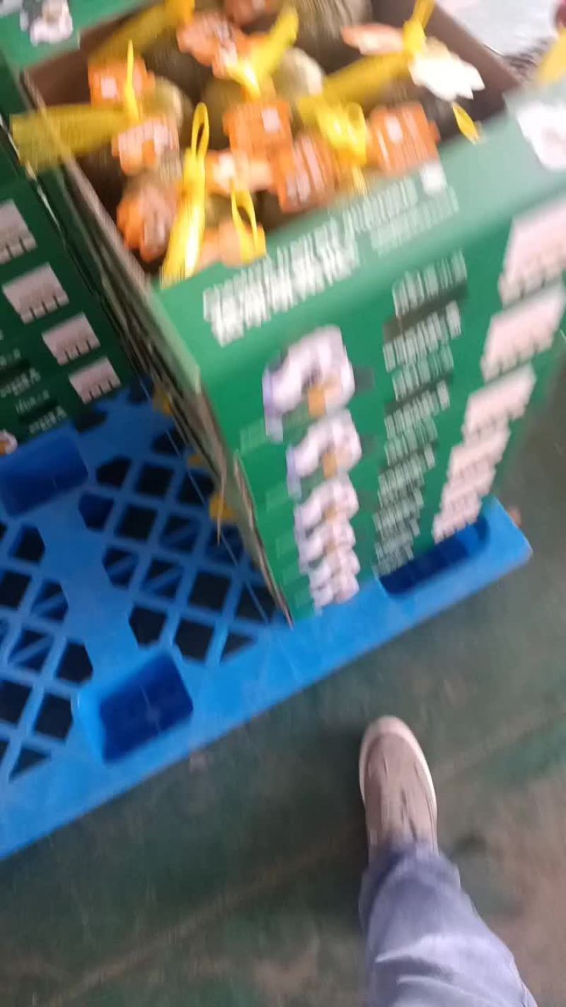贝贝南瓜